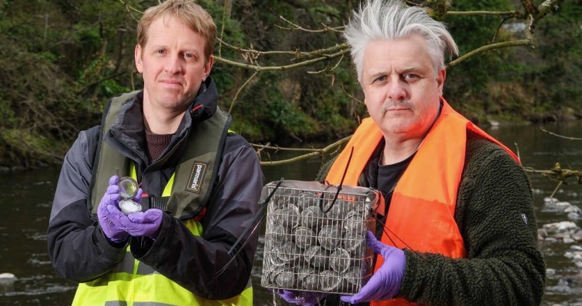 Microplastics could actually help us, by detecting sewage in waterways